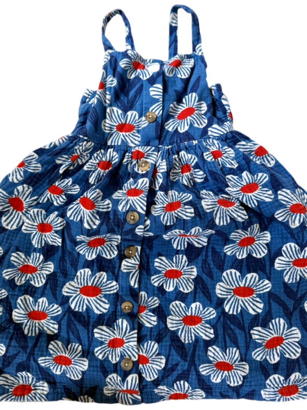 Hanna Andersson Blue Daisy Print Dress in Cotton Muslin